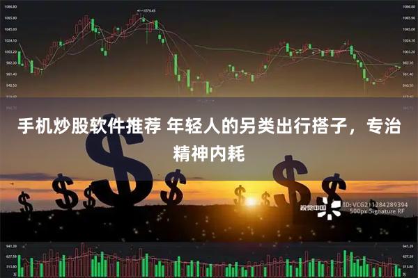 手机炒股软件推荐 年轻人的另类出行搭子，专治精神内耗